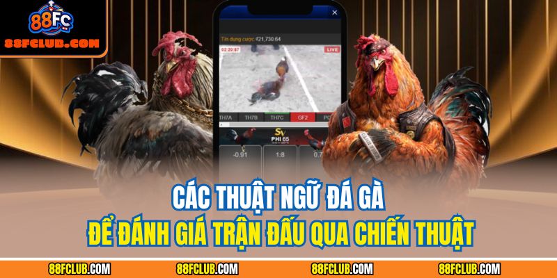 Thuật Ngữ Đá Gà Và Cách Vận Dụng Để Nâng Cao Chiến Thắng 4 Các thuật ngữ đá gà để đánh giá trận đấu qua chiến thuật