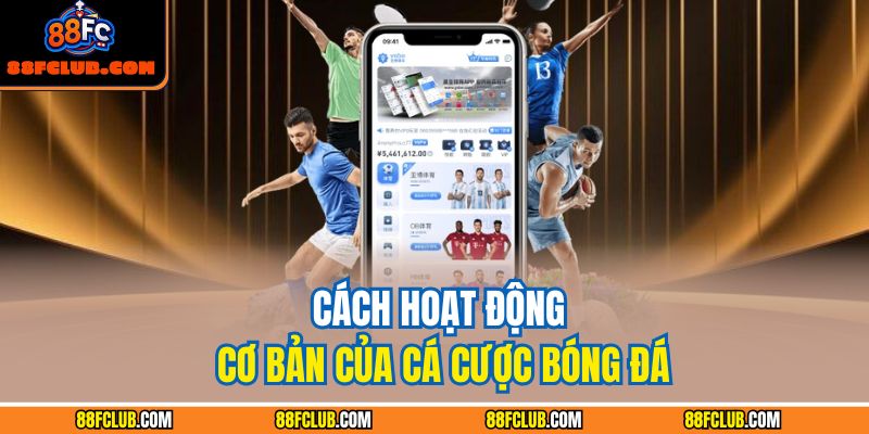 Cá Cược Bóng Đá: Chiến Lược Hiệu Quả Tối Ưu Lợi Nhuận 3 Cách hoạt động cơ bản của cá cược bóng đá