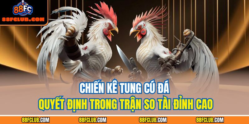 Đá Gà Tre 88fc – Bí Quyết Chiến Thắng Từ Kinh Nghiệm Thực Chiến 4 Chiến kê tung cú đá quyết định trong trận so tài đỉnh cao