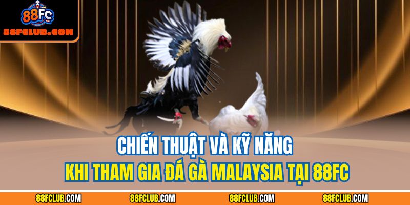 Chiến Thuật Và Kỹ Năng Khi Tham Gia Đá Gà Malaysia Tại 88FC 1 Đá gà Malaysia