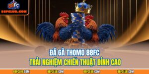 Đá gà Thomo 88FC