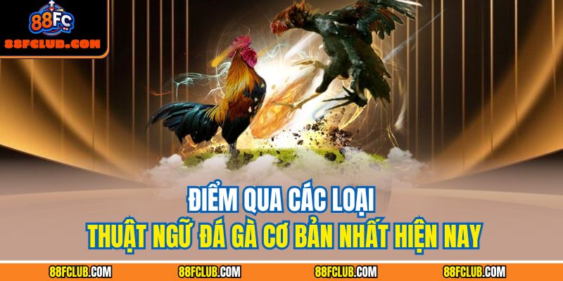 Thuật Ngữ Đá Gà Và Cách Vận Dụng Để Nâng Cao Chiến Thắng 3 Điểm qua các laoị thuật ngữ đá gà cơ bản nhất hiện nay