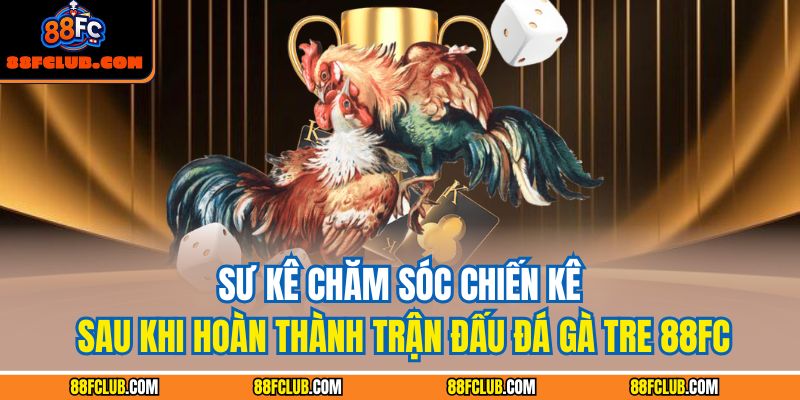 Đá Gà Tre 88fc – Bí Quyết Chiến Thắng Từ Kinh Nghiệm Thực Chiến 3 Sư kê chăm sóc chiến kê sau khi hoàn thành trận đấu đá gà tre 88FC