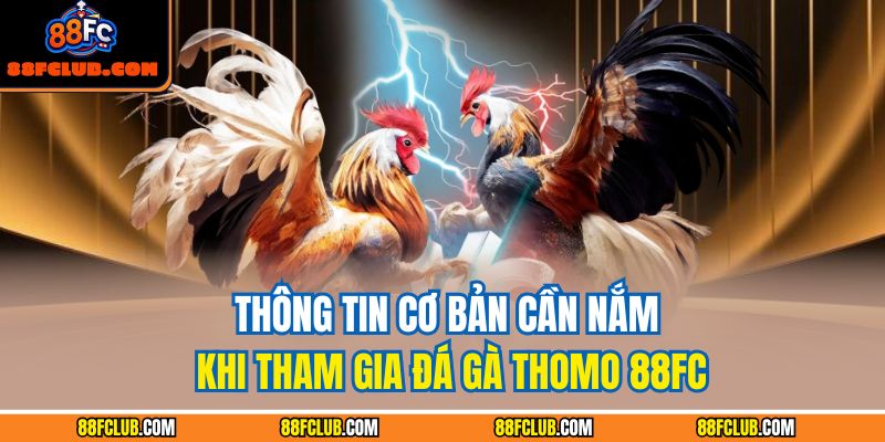 Đá Gà Thomo 88FC – Trải Nghiệm Chiến Thuật Đỉnh Cao 2 Thông tin cơ bản cần nắm khi tham gia đá gà Thomo 88FC