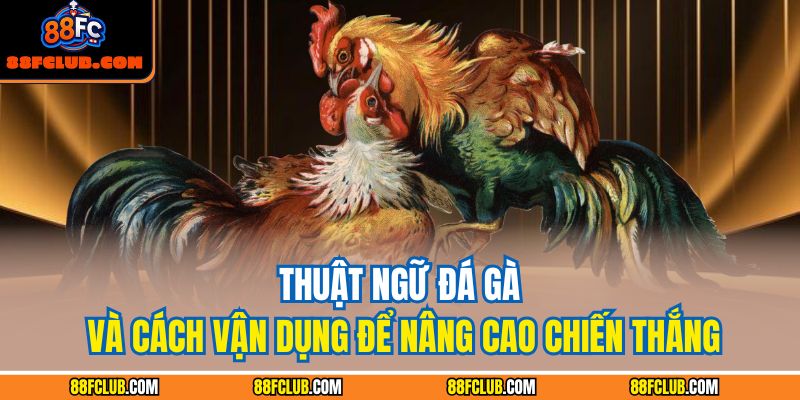 Thuật Ngữ Đá Gà Và Cách Vận Dụng Để Nâng Cao Chiến Thắng 1 thuật ngữ đá gà