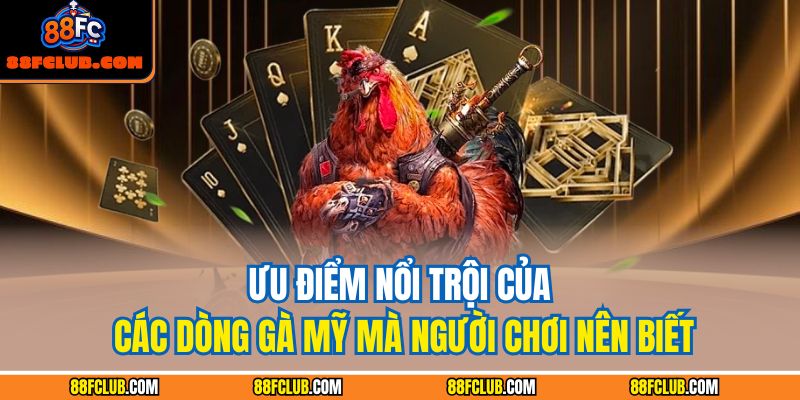 Tổng Hợp Chi Tiết Các Dòng Gà Mỹ Cho Người Chơi Tại 88FC 3 Ưu điểm nổi trội của các dòng gà Mỹ mà người chơi nên biết
