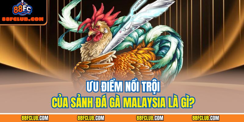 Chiến Thuật Và Kỹ Năng Khi Tham Gia Đá Gà Malaysia Tại 88FC 4 Ưu điểm nổi trội của sảnh đá gà Malaysia là gì?
