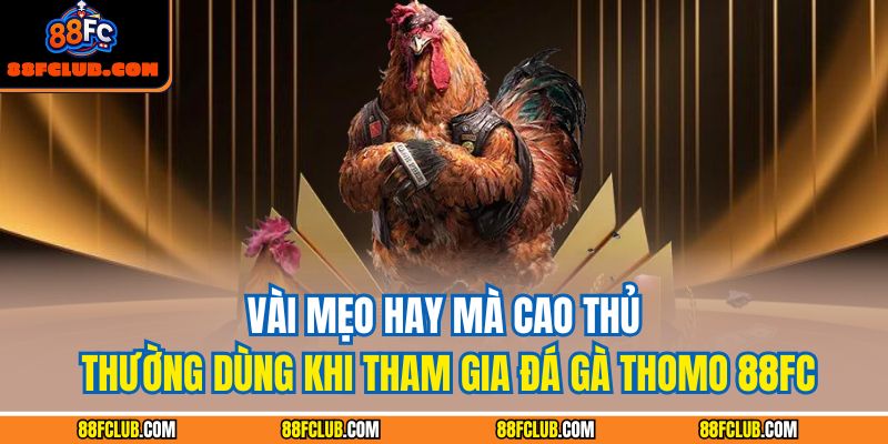 Đá Gà Thomo 88FC – Trải Nghiệm Chiến Thuật Đỉnh Cao 4 Vài mẹo hay mà cao thủ thường dùng khi tham gia đá gà Thomo 88FC
